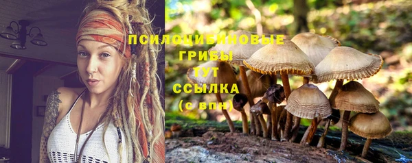 трава Абинск